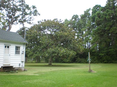 Back yard view