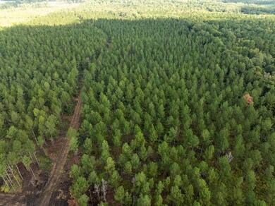 0 Pisgah Rd unit 1, Brandon, MS 39047 - photo 2