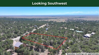 1915 Lone Pine Way, Crestone, CO 81131 - photo 4