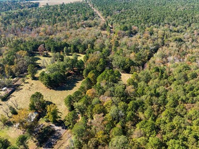 TBD An County Road 1225, Elkhart, TX 75839 - photo 6