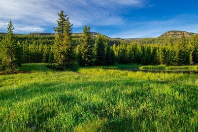 Lot 7 Bear Paw Ponds, Big Sky, MT 59716 - photo 3