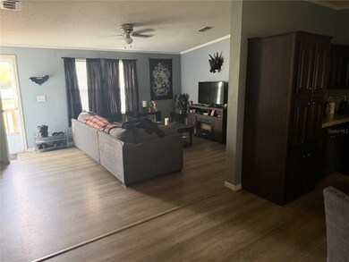 6412 Old Lake Wilson Rd, Davenport, FL 33896 - photo 5