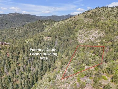 0 Raven Gulch Rd unit 23872430, Morrison, CO 80465 - photo 5