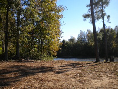 NC Hwy 97 E Water front clearing