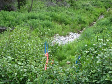 drainage easement