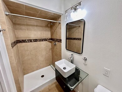 Walk in shower with luxury vessel sink vanity