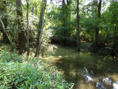 20719 New Kentucky Village, Hockley, TX 77447 - photo 7