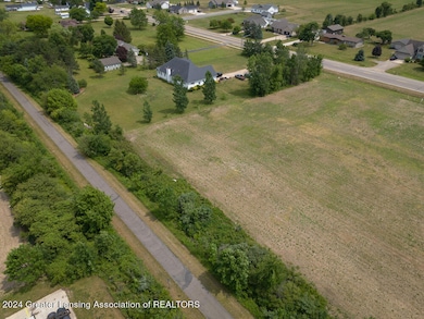 V/L W M21, Fowler, MI 48835 - photo 6