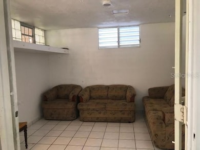 20 Calle Halcon, Canovanas, PR 00729 - photo 3
