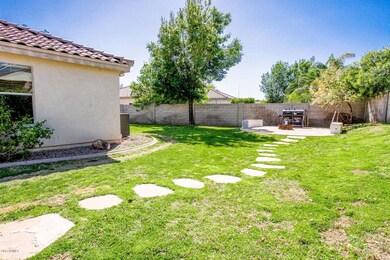 back yard 4