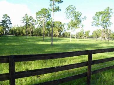 1651 SE 111th Ct, Morriston, FL 32668 - photo 6