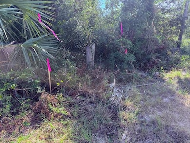 10' Driveway entrance from C30