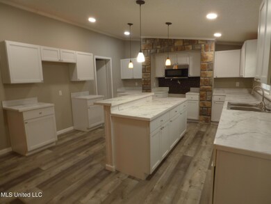 2075 Hartwell Rd, Summit, MS 39666 - photo 2