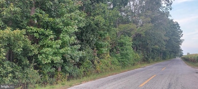 0 00011 09 Mckishen Rd, Pittsgrove, NJ 08318 - photo 2