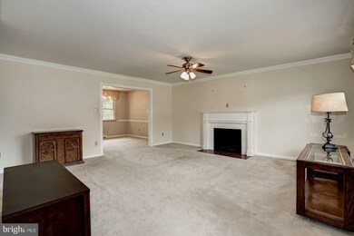 3229 Magnolia Ave, Falls Church, VA 22041 - photo 2