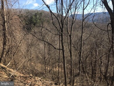 1082 Lower North Fork Rd, Seneca Rocks, WV 26884 - photo 7