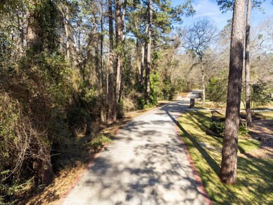 19326 Chateau Ridge Ct, Tomball, TX 77377 - photo 5