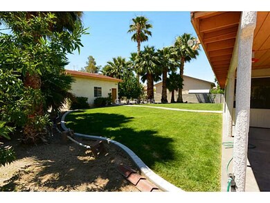 Yard/Garden.