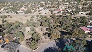 Lot 316 Eddie Ward, Silver City, NM 88061 - photo 4