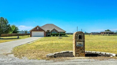 700 Olive Branch Rd, Brock, TX 76087 - photo 3