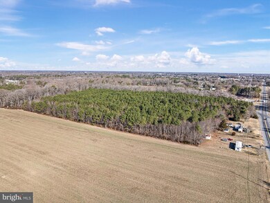 7058 Shawnee Rd, Milford, DE 19963 - photo 5