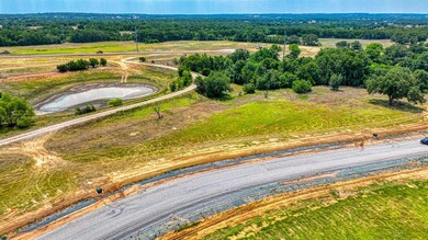 13 Aslan Rd, Poolville, TX 76487 - photo 7