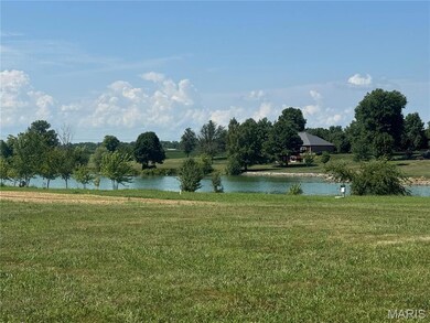 3402 Arbor View Ct, Freeburg, IL 62243 - photo 7