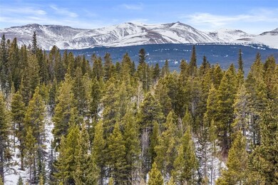 TBD Beaver Creek Rd, Fairplay, CO 80440 - photo 4