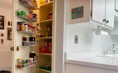 10876 W Emerald Dr, Sun City, AZ 85351 - photo 6