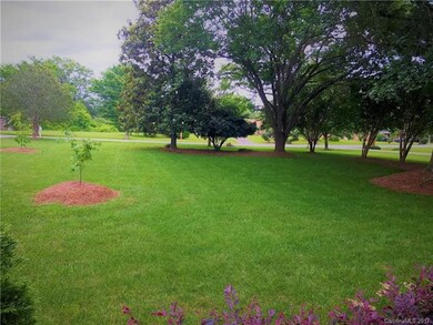 What an amazing front yard view