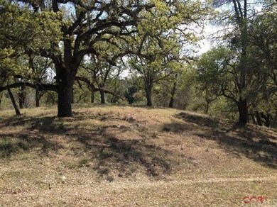 2nd build site with oaks.