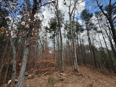 Lot 3 Parksville Rd, Benton, TN 37307 - photo 2