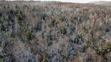 Lot 1 & 2 Thistle St, Upton, ME 04261 - photo 6