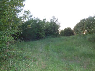 0 Bethel Church Rd, Mount Washington, KY 40047 - photo 3