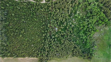 221 Trask Pond Rd, Newport, WA 99156 - photo 4