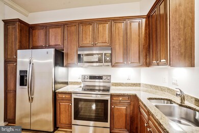7871 Rolling Woods Ct unit 1402, Springfield, VA 22152 - photo 5