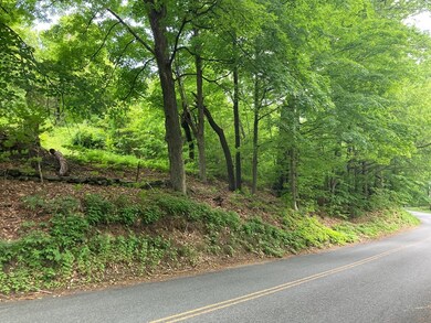 0 Strippe Rd unit 72989355, Whately, MA 01093 - photo 5