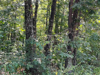 528 Black Oak Rd, Mammoth Spring, AR 72554 - photo 6