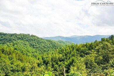 Lot 30 Inkberry Dr, Ferguson, NC 28624 - photo 2