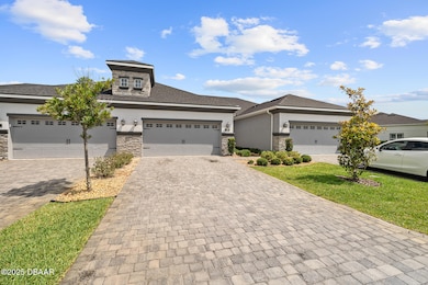 Driveway View