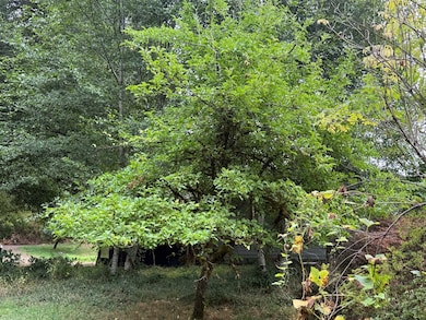 82550 Vine Maple Dr, Seaside, OR 97138 - photo 7