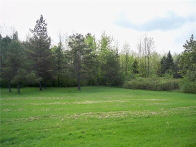Back Yard...