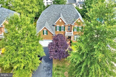 5551 Victory Loop, Manassas, VA 20112 - photo 3