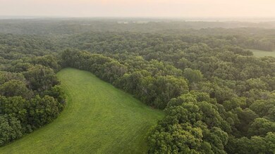 618 E Howard Rd, Smithfield, IL 61477 - photo 6