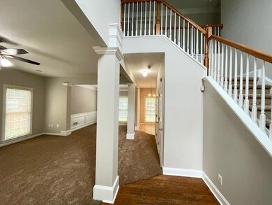 Stairway featuring ceiling fan, plenty of natural light, and carpet floors