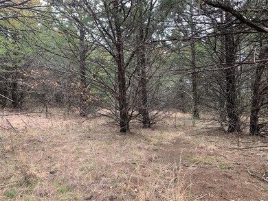 TBD Isbon- Tract 2, Whitesboro, TX 76273 - photo 7