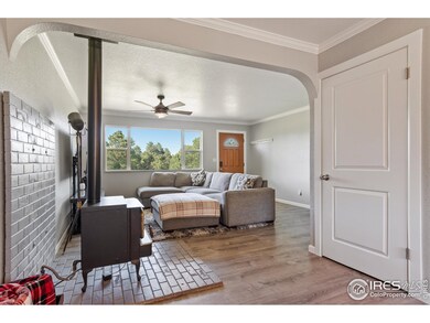 18315 Steeplechase Dr, Peyton, CO 80831 - photo 5