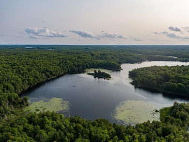 Off Pomeroy Lake Rd unit Lot 27, North of Presque Isle, MI 49947 - photo 4