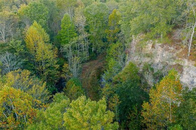 Aerial overview of property's location with a forest