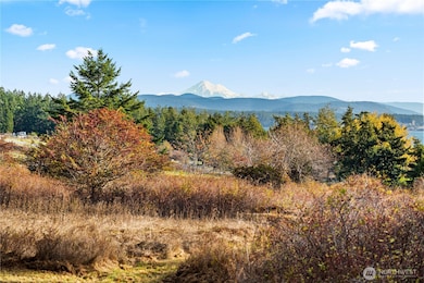 0 Pear Point Rd, Friday Harbor, WA 98250 - photo 3
